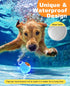 LED Dog Ball Rechargeable - Light Up Bounce-Activated Fetch Ball for Small & Medium Dogs, 2.5 Inches, Orange