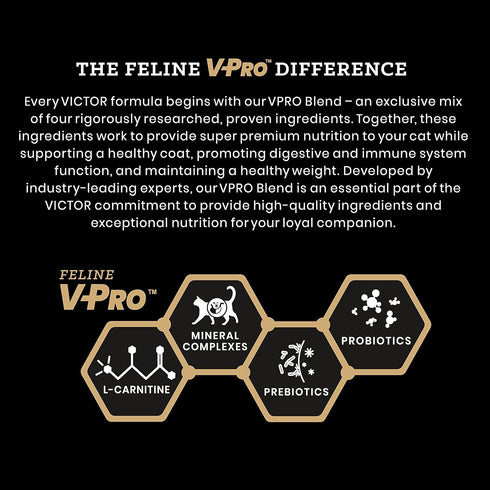 Victor Super Premium Cat Food – Hi-Pro Plus Active Cat and Kitten – Dry Cat Food for Active Cats, All Breeds, All Life