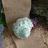 iao.v.p 2pcs 1.9-2.2" Decoration(2pcs Large Hermit Crab Shells, XXL Size Opening Big Hermit Crab Shells, Natural Sea