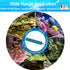 10 Inch Aquarium Air Stones Bar, Air Stone Kit with 5 Pcs Square Oxygen Diffuser