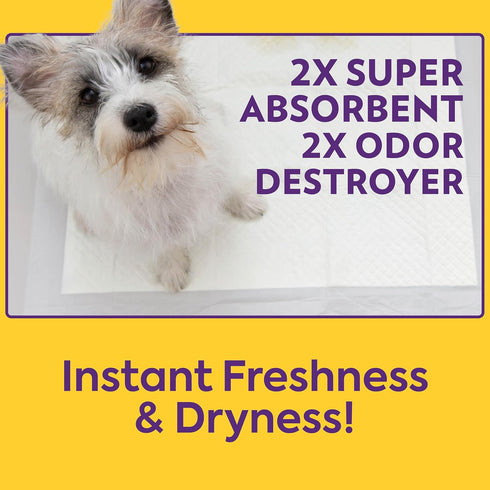 26"x24", 60 Count OUT! PetCare XL Training Pads, Leak-Proof Disposable Pee Pads for Dogs, Potty Training with Odor