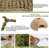 8PCS Hammock, Hermit Crab Accessories Natural Hermit Crab Shells, Coconut Hideout, Climbing Toys Moss, Plants & Water