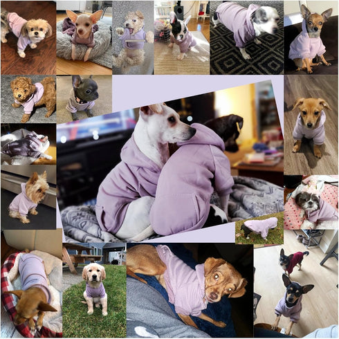 Jecikelon Winter Dog Hoodie Sweatshirts for Small Dogs Chihuahua Coat with Pockets, Warm Puppy Cat Costume (Purple,