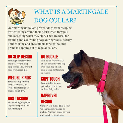 Country Brook Petz Martingale Dog Collar, Heavy-Duty Training Collar, Hot Pink, 3/4 Inch, Small, No Buckle