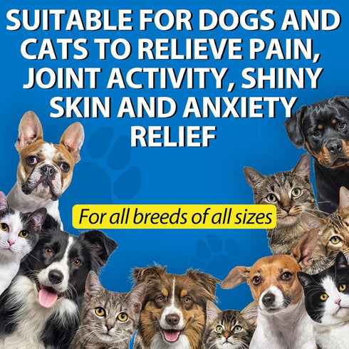 Oil for Dogs 60ML,Organic Pet Oil for Pain,Skin,Arthritis Pain,Pain Relief,Calming,Omega 3,6,9 for Dog Emotions, Dog Barking & Dog Joints,Supports & Maintains Healthy Joints (1 Pack, Blue)