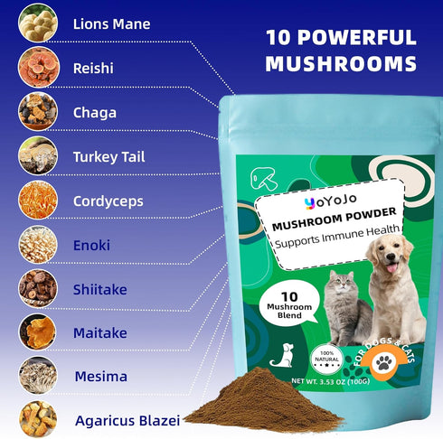 YoYoJo 10 Immunity, 3.53 oz 100g Mushrooms Extract Powder for Dogs & Cats - Mushrooms Complex Pet Supplement