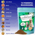 YoYoJo 10 Immunity, 3.53 oz 100g Mushrooms Extract Powder for Dogs & Cats - Mushrooms Complex Pet Supplement