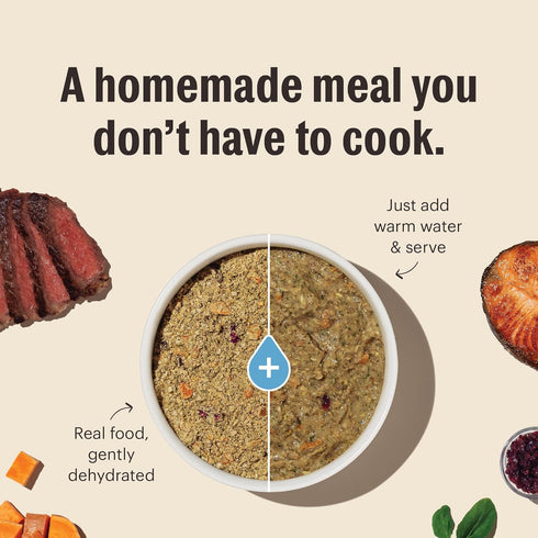 2 lb The Honest Kitchen Human Grade Wholemade Dehydrated Whole Grain Beef & Oat Dog Food, Bag