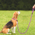 PetiFine 6FT x 1/2" Reflective Slip Lead Dog Leash, Heavy Duty Adjustable Nylon Rope for Small Medium Large Dogs