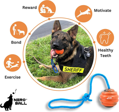 K-9 2.75 Nero Ball Pro Dog Training Ball on Rope Heavy-Duty Natural Rubber Reward & Tug Toy with Nylon Throw Handle