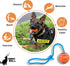 K-9 2.75 Nero Ball Pro Dog Training Ball on Rope Heavy-Duty Natural Rubber Reward & Tug Toy with Nylon Throw Handle