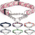 Martingale Collar: Training Dog Collar with Stainless Steel Chain for No Pull Walking (M, Peony)