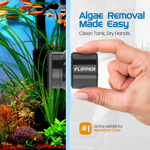 2 1 FL!PPER Flipper Pico in Magnetic Algae Scrubber Scraper Aquarium Fish Tank Cleaner - Black