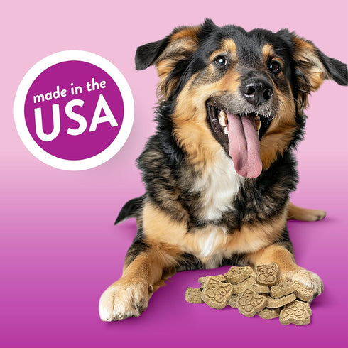 Spunky Pup Every Day Biscuit Dog Treats, All-Natural, 24 oz Resealable Pouch, Prime Rib Flavor