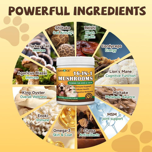 16 1 Mane-Immune, Mushroom for Dogs & Cats Lumps & Bumps, Turkey Tail Mushroom for Dog with MSM for Joint Health