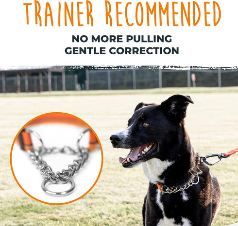 Mighty Paw Martingale Dog Collar 2.0 - Trainer Approved Limited Slip Collar with Heavy Duty Buckle, Large, Orange