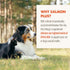 Grizzly Wild Alaskan Salmon Oil, 16 oz Dog Food Supplement with Omega 3 Fatty Acids