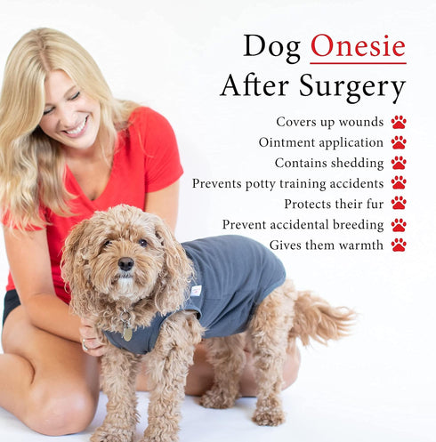 BellyGuard Recovery Suit for Dogs, Comfy Post-Op Care Onesie for Female Spay and Male Neuter Surgery