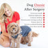 BellyGuard Recovery Suit for Dogs, Comfy Post-Op Care Onesie for Female Spay and Male Neuter Surgery