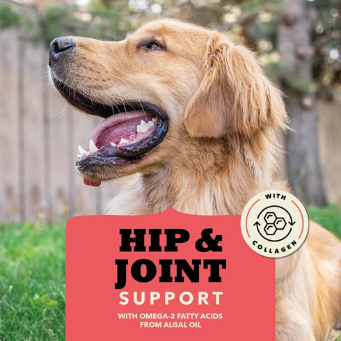 ACANA Chewy Strips Hip & Joint Support - Beef Recipe Dog Treat, 4oz