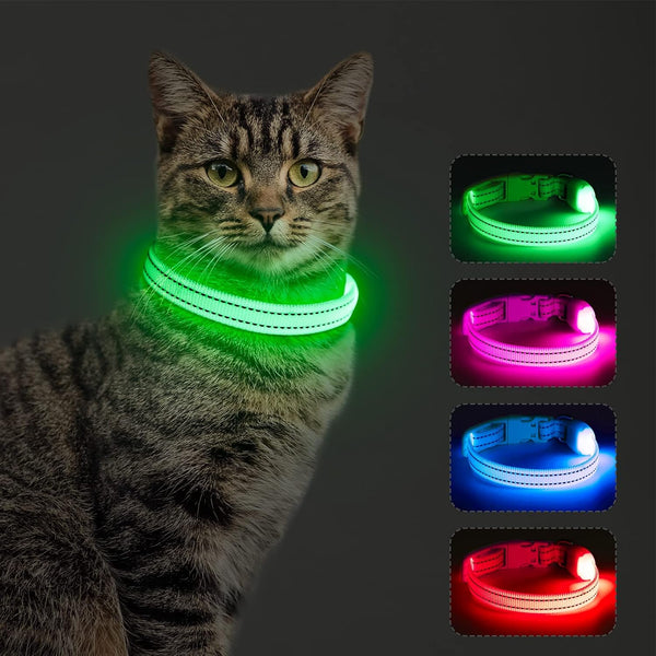 Reflective LED Dog Collar, Rechargeable Light Up Puppy Collar for Night Safety, Ideal as Lighted Cat Collar, X-Small,
