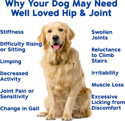 120 Well Loved Glucosamine for Dogs - Joint Supplement for Dogs, Made in USA, Vet Developed, Glucosamine Chondroitin