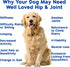 120 Well Loved Glucosamine for Dogs - Joint Supplement for Dogs, Made in USA, Vet Developed, Glucosamine Chondroitin