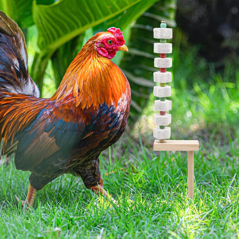Oooct 2 Pack Chicken Chewing Toy, Chick Beak Grinding Calcium Stone with Wood Stake, Chicken Cage Accessories, Cage