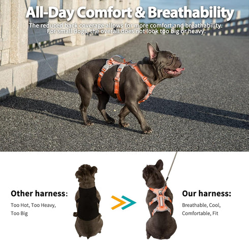 Escape Proof Dog Harness, No Pull Reflective Vest with Lift Handle, Adjustable Pet Harness for Small Medium Large Dogs