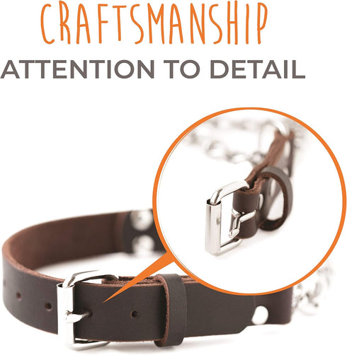 Mighty Paw Martingale Dog Collar - No Pull Design, Stainless Steel Chain, Brown Leather Martingale Training Collar