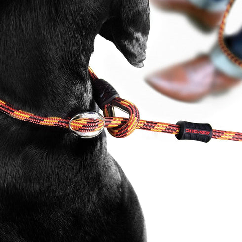 EzyDog Luca All-in-One Slip Collar, Climbing Rope Dog Leash Combo, Best Lead for Control, Training, Small Dogs, Lite