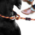 EzyDog Luca All-in-One Slip Collar, Climbing Rope Dog Leash Combo, Best Lead for Control, Training, Small Dogs, Lite