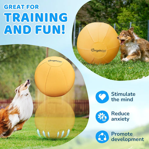 25'' BurgeonNest Herding Ball for Dogs, Herding Ball for Australian Shepherds, Cattle, Border Collies & Medium/Large