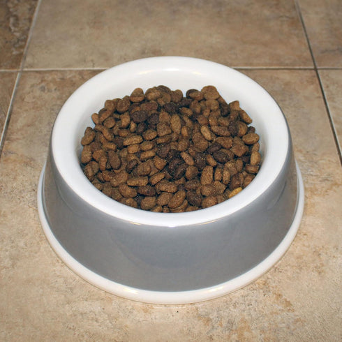 Van Ness Pets EcoWare Medium Dog Bowl, Non-Tip/Non-Skid Dish, 25 OZ Capacity