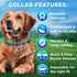 TECEUM Reflective Pet Collar – Basic Nylon Dog Collar – Quick Release Buckle – Aquamarine – M – Fits Small, Medium and