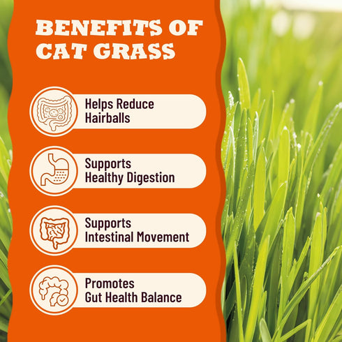 Vitamins&70% 10.16 oz (24 Lickable Cat Grass Treats with Lick-Up Spoons, Healthy Cat Grass Wet Cat Snacks for Hairball