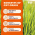 Vitamins&70% 10.16 oz (24 Lickable Cat Grass Treats with Lick-Up Spoons, Healthy Cat Grass Wet Cat Snacks for Hairball