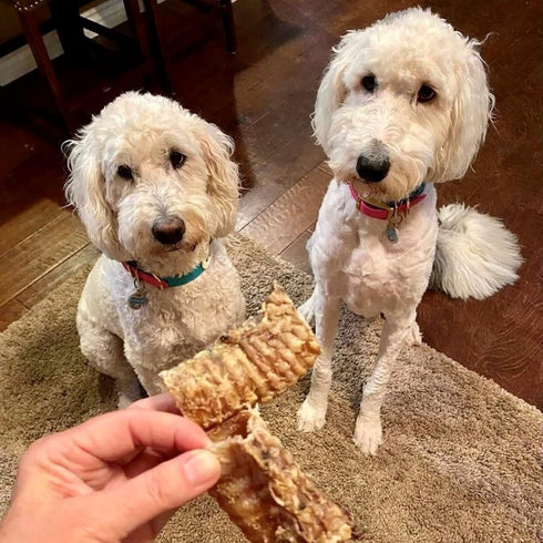 (3" 16 OZ) Dog Chews Beef Trachea Dog Treat Chew Made in USA. Grass Fed Farm-Raised American Beef. Glucosamine Rich