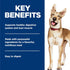 1-6 12.5 oz. 12-Pack Hill's Science Diet Adult Healthy Cuisine Wet Dog Food, Braised Beef, Carrots, & Peas Stew, Cans