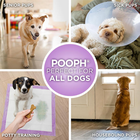 50 Count 59oz, 24x24 Inch POOPH Potty Pads Superior Absorbency & Odor Control Absorbs Leak-Proof, Track-Proof