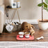 12x18", Bone Dry Machine Washable, Ultra Absorbent Pet Mat, Red Stripe