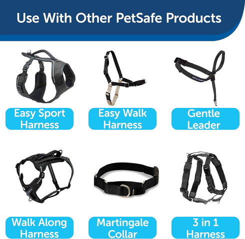 PetSafe Nylon Dog Leash, Black 3/8 in. x 6 ft. - Strong, Durable, Traditional Style with Easy to Use Bolt Snap