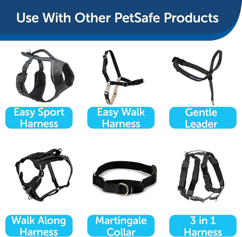 PetSafe Nylon Dog Leash, Strong and Durable Traditional Style with Easy to Use Bolt Snap, 1 in. x 4 ft., Black
