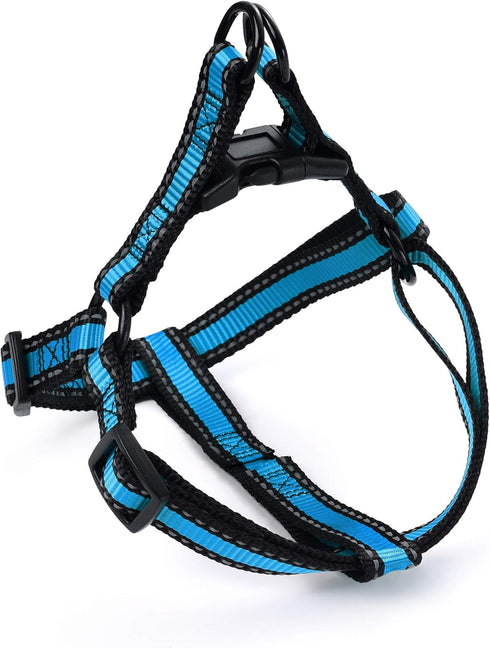 Mile High Life Night Reflective Double Adjustable Band Nylon Small Puppy Collar Leash and Harness Set (Reflective Edge