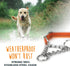 Mighty Paw Martingale Dog Collar 2.0 - Trainer Approved Limited Slip Collar with Heavy Duty Buckle, Large, Orange