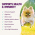 Health Extension Multivitamin & Minerals for Dogs & Puppies, 30 Tablets, Supports Immune System & Digestion