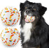 Indestructible Dog Balls, 2pcs Durable High Elasticity Interactive Toy for Training Catch and Fetch, 3in for All Dogs