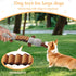 Qiiiiian Squeaky Dog Toys, Stuffed Large Dog Toys to Keep Them Busy, Interactive Plush Chew Toys with Crinkle Paper