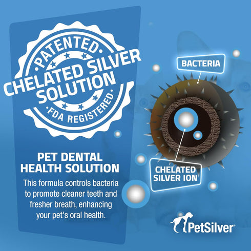 PetSilver Teeth & Gum Spray for Dogs and Cats, Natural Breath Freshener, 4 oz