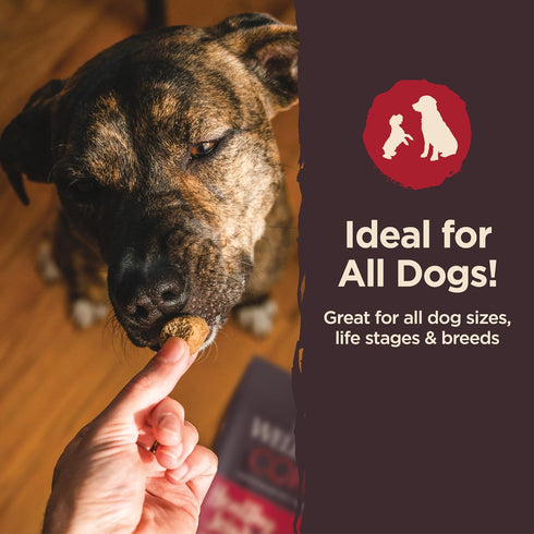 Wellness CORE Healthy Joints Crunchy Dog Treats, Grain Free, 8 Ounce Bag